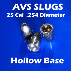 .254 2S Ogive HOLLOW BASE 25 Caliber Slugs - Hollow Point (28 to 48 Grains) 100 count