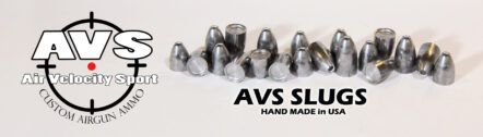 AVS Slugs